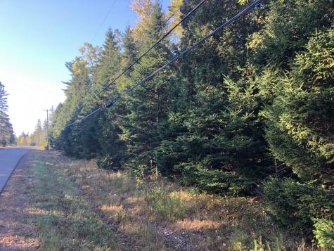 0 Shore Road Perry ME 04667