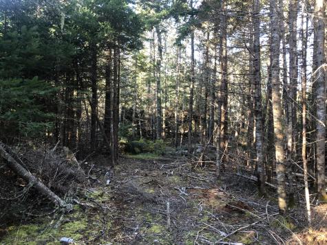 0 Shore Road Perry ME 04667