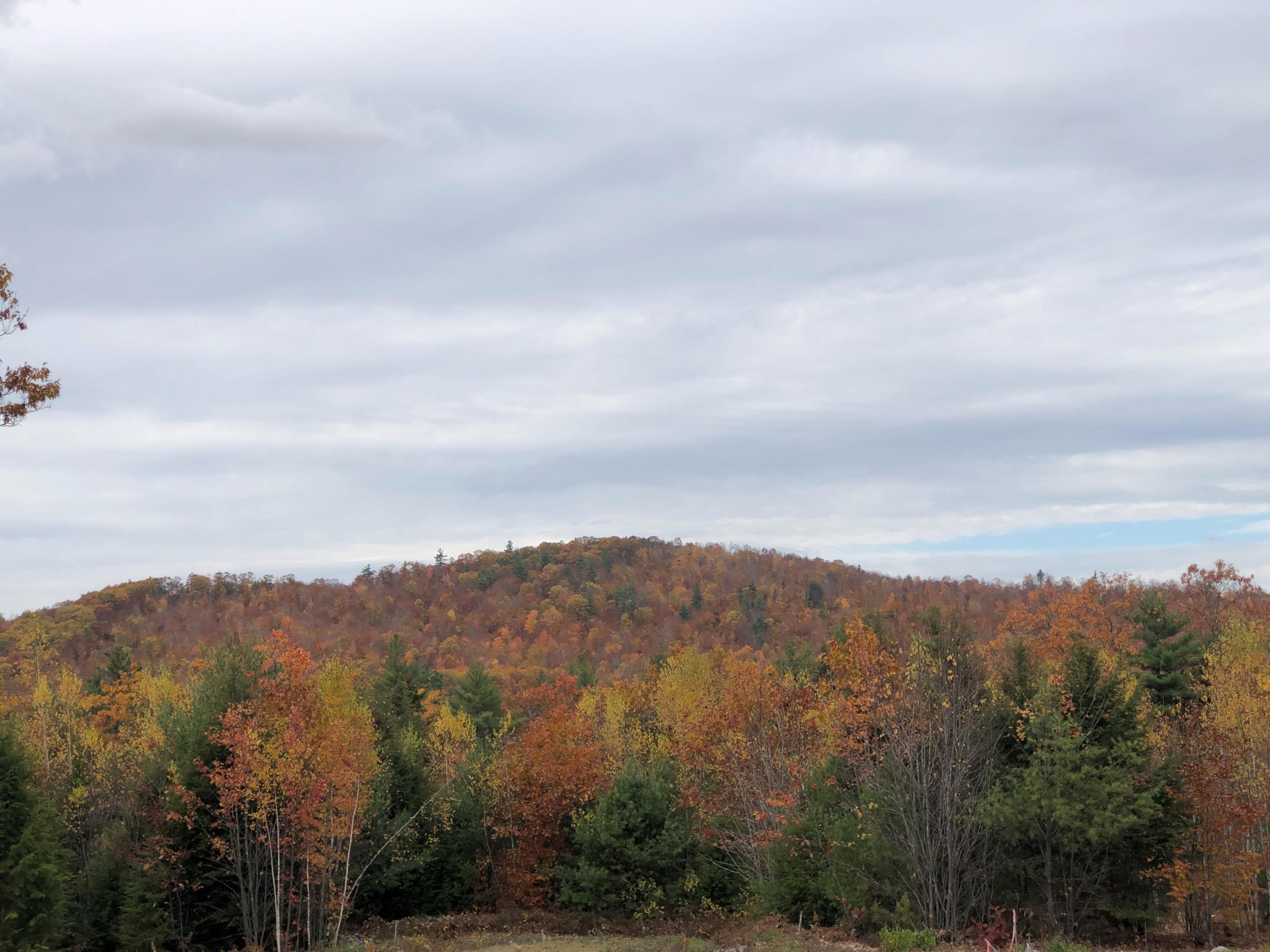 0 Black Mountain Road Sweden ME 04040