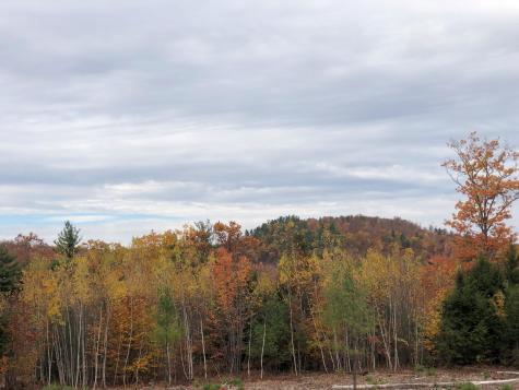 0 Black Mountain Road Sweden ME 04040