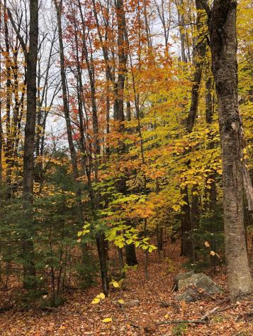 0 Black Mountain Road Sweden ME 04040