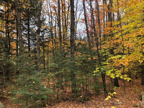 0 Black Mountain Road Sweden ME 04040