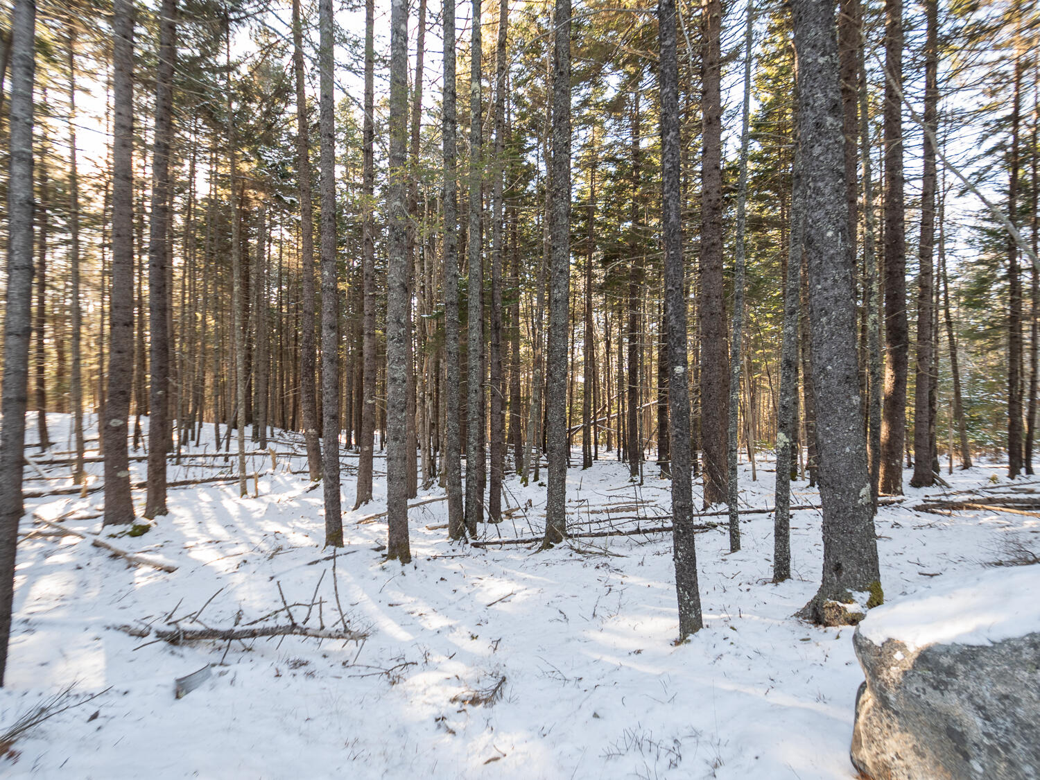 25 Long Pond Road Southwest Harbor ME 04679