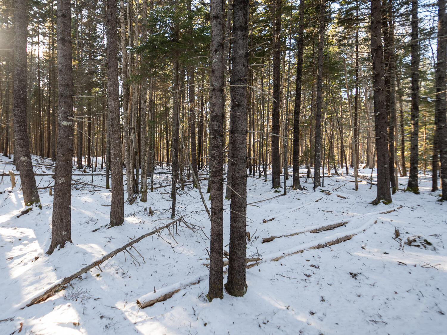 25 Long Pond Road Southwest Harbor ME 04679