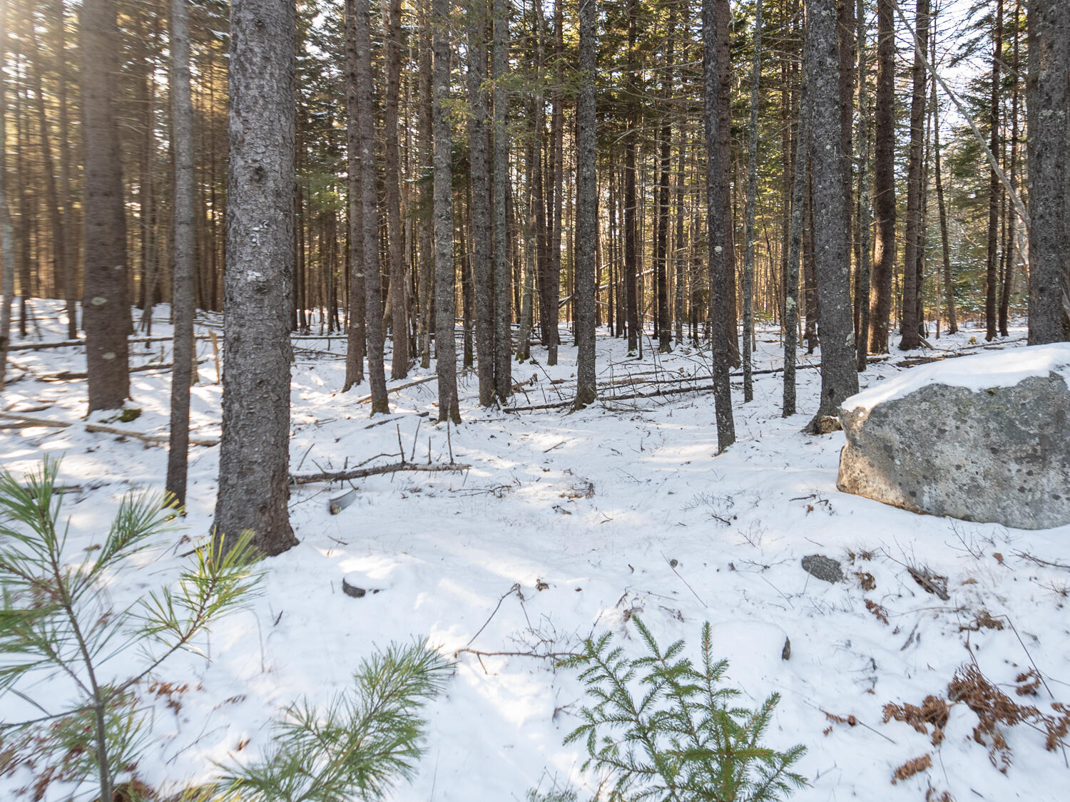 25 Long Pond Road Southwest Harbor ME 04679