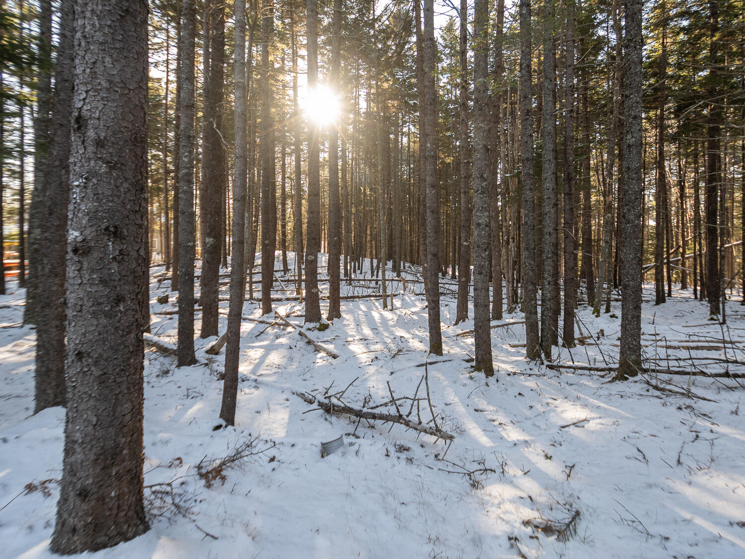 25 Long Pond Road Southwest Harbor ME 04679