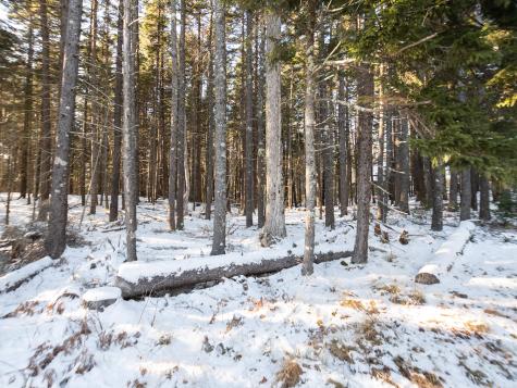 25 Long Pond Road Southwest Harbor ME 04679