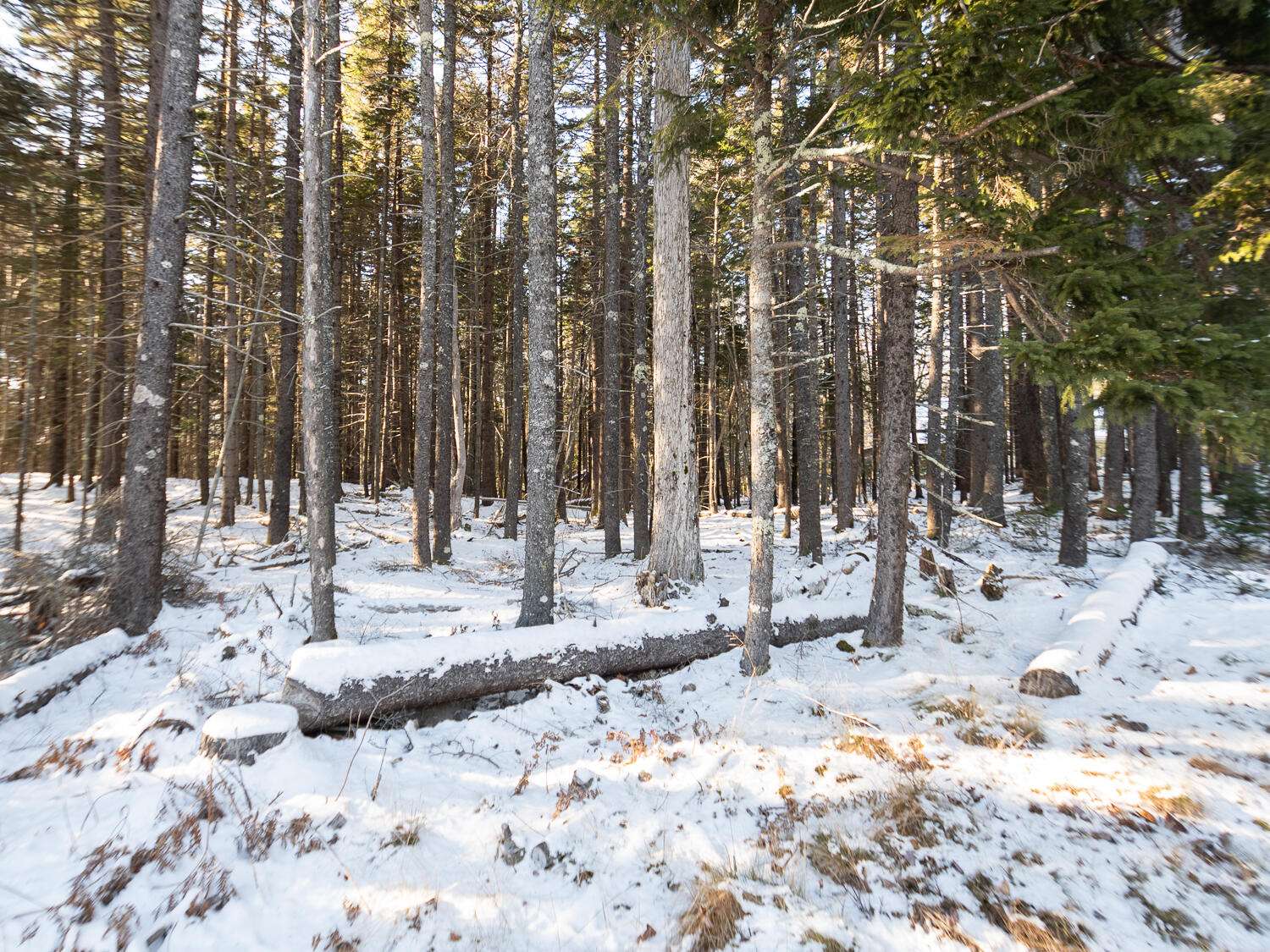 25 Long Pond Road Southwest Harbor ME 04679