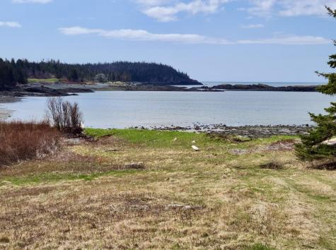 L11/12/14 Boot Cove Road Lubec ME 04652