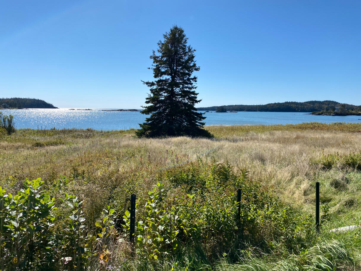 L11/12/14 Boot Cove Road Lubec ME 04652