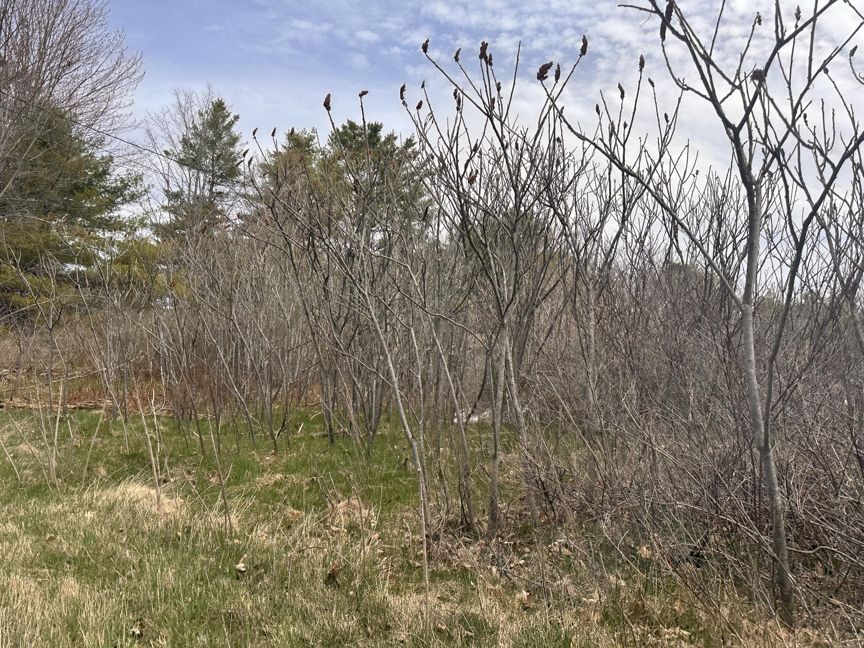 59 Gardiner Road Dresden ME 04342