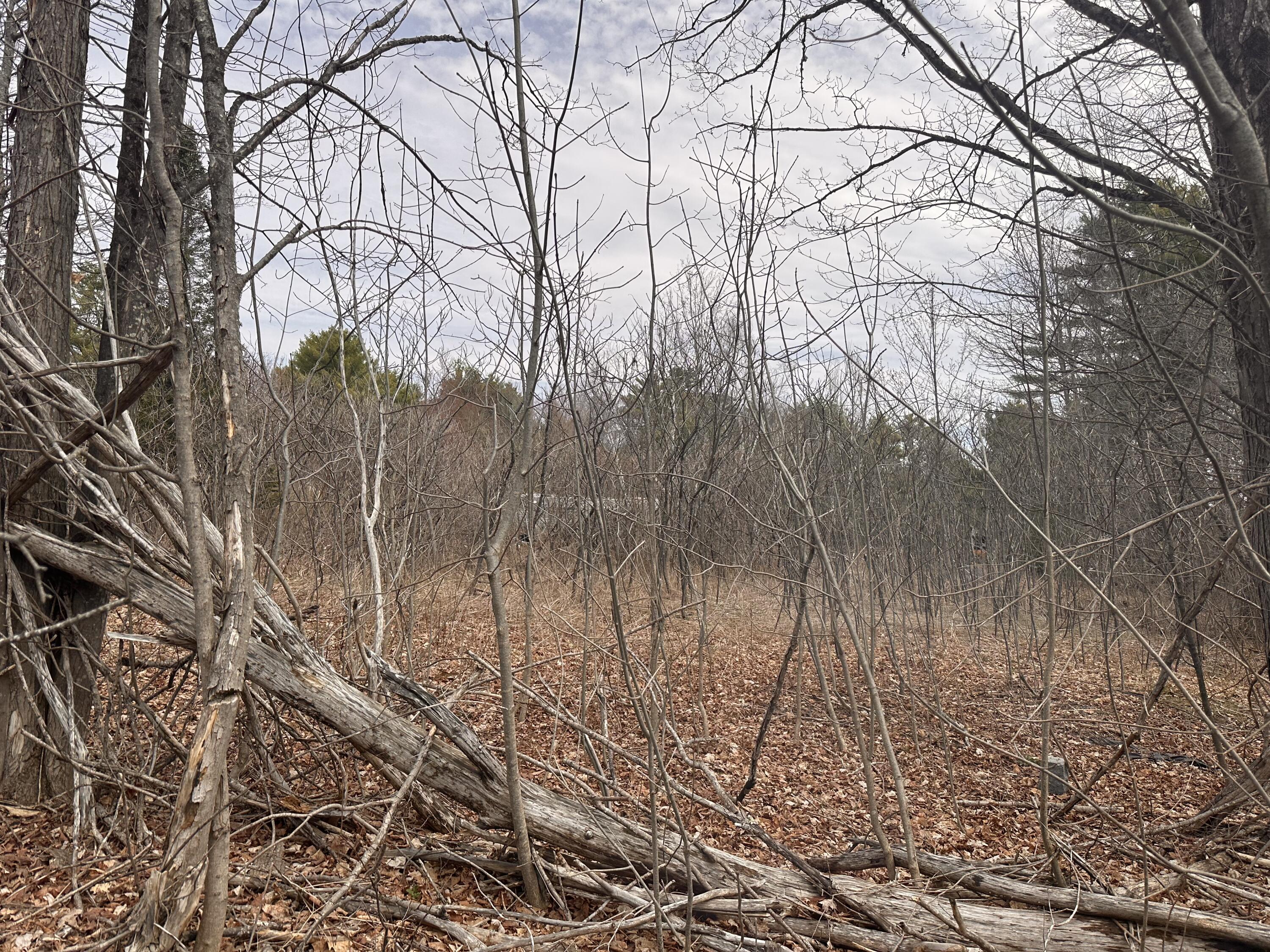 59 Gardiner Road Dresden ME 04342