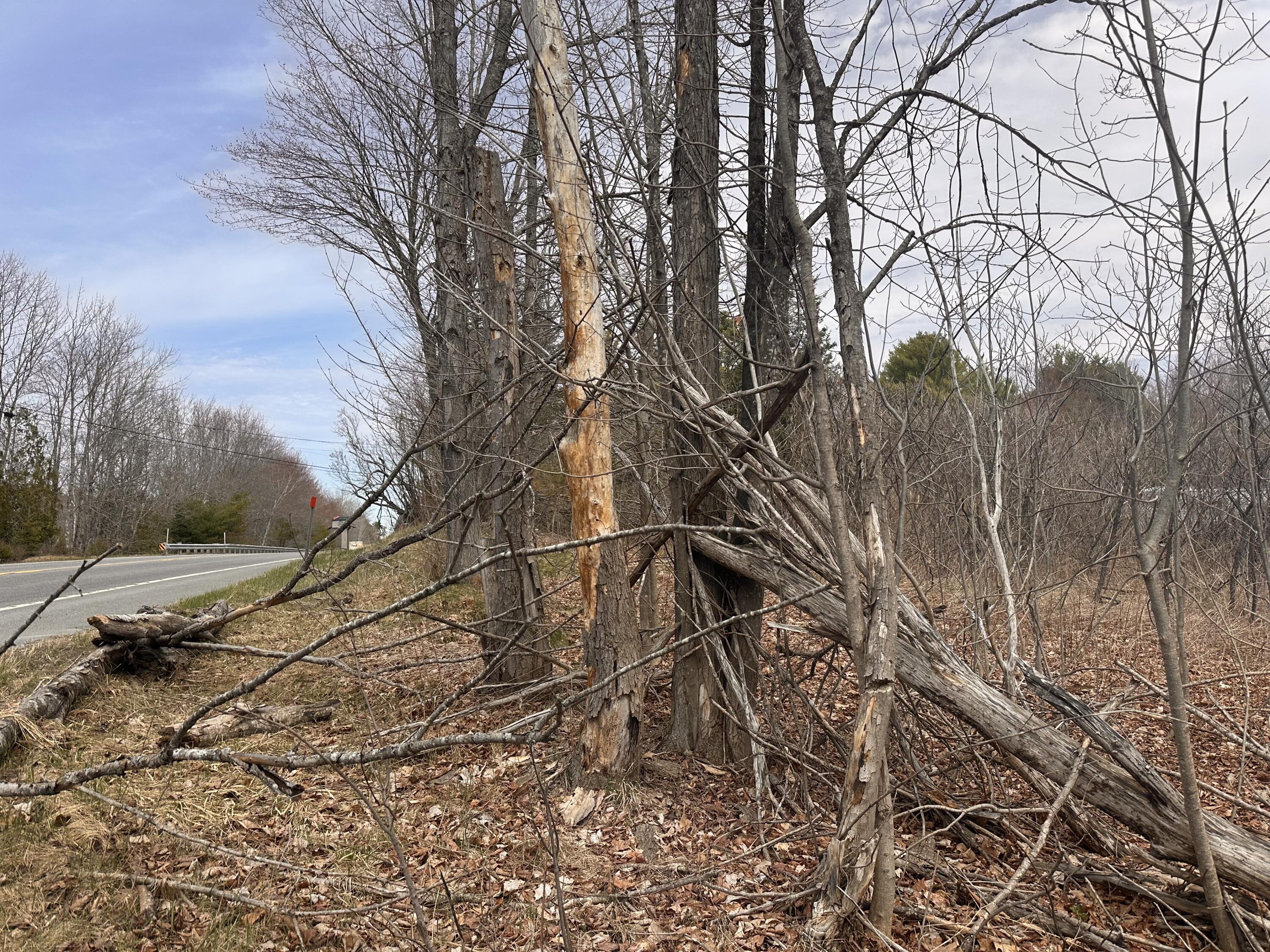 59 Gardiner Road Dresden ME 04342