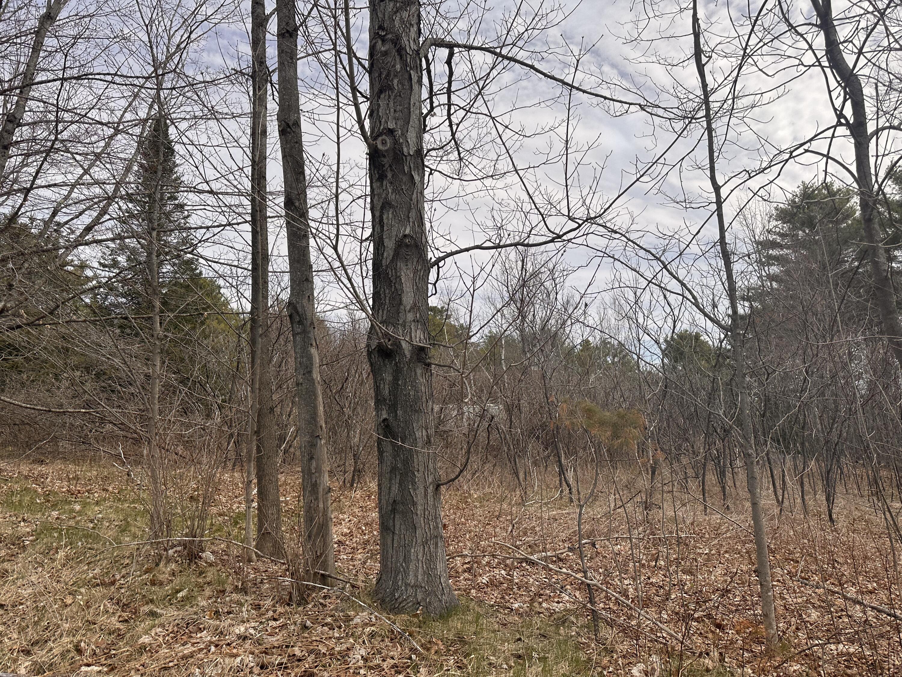 59 Gardiner Road Dresden ME 04342