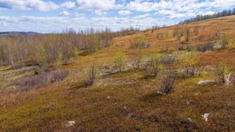 Map 22 Lot 15 Bull Hill Road Hope ME 04847