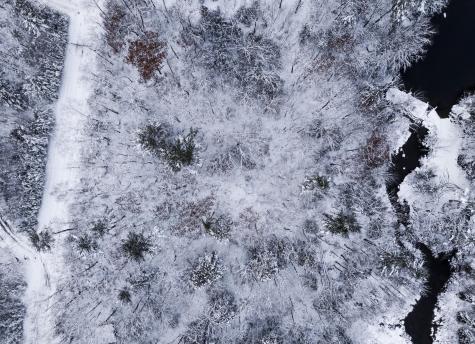 M035L11-14 Ring Bolt Lane Surry ME 04684