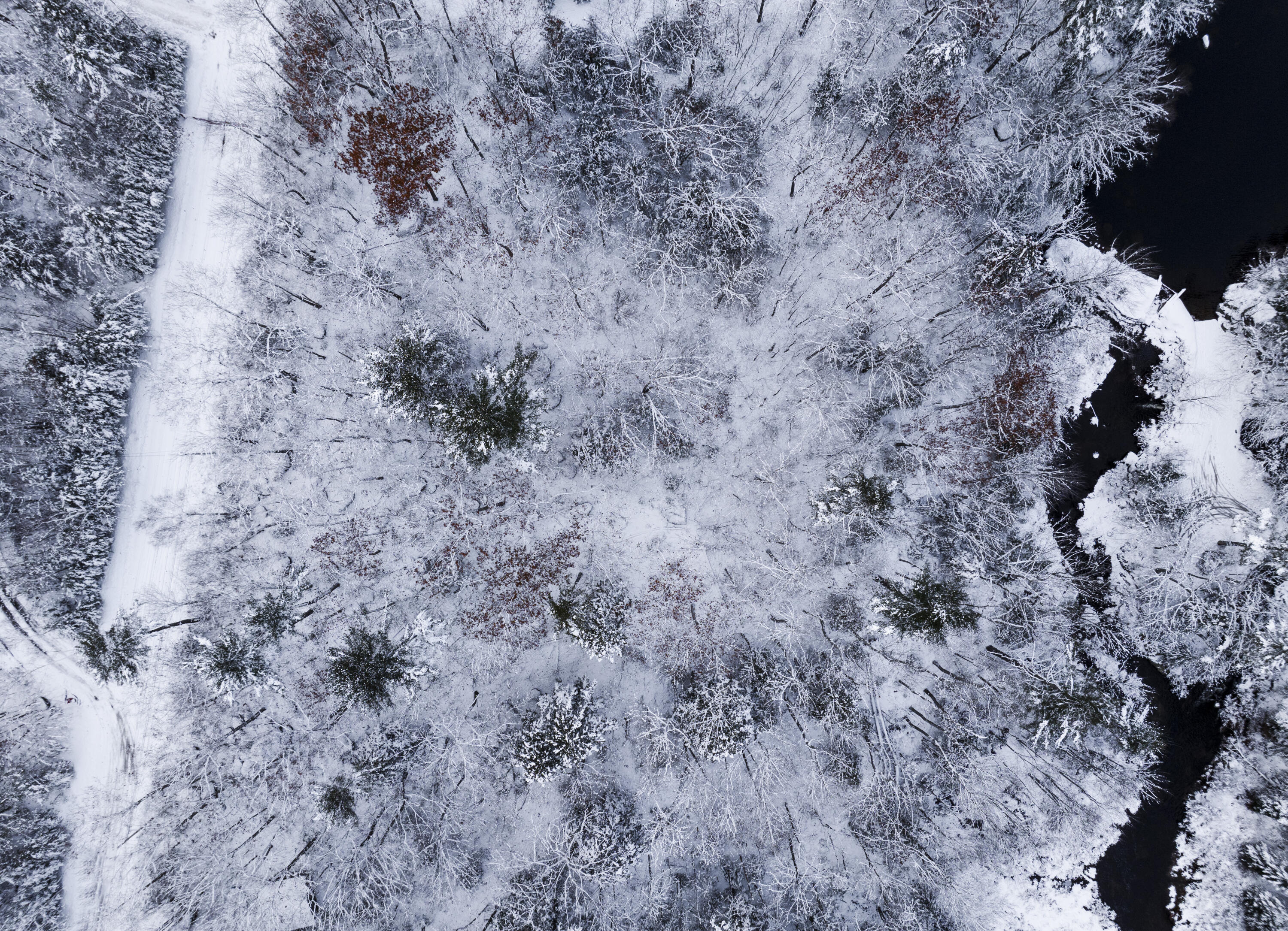 M035L11-14 Ring Bolt Lane Surry ME 04684