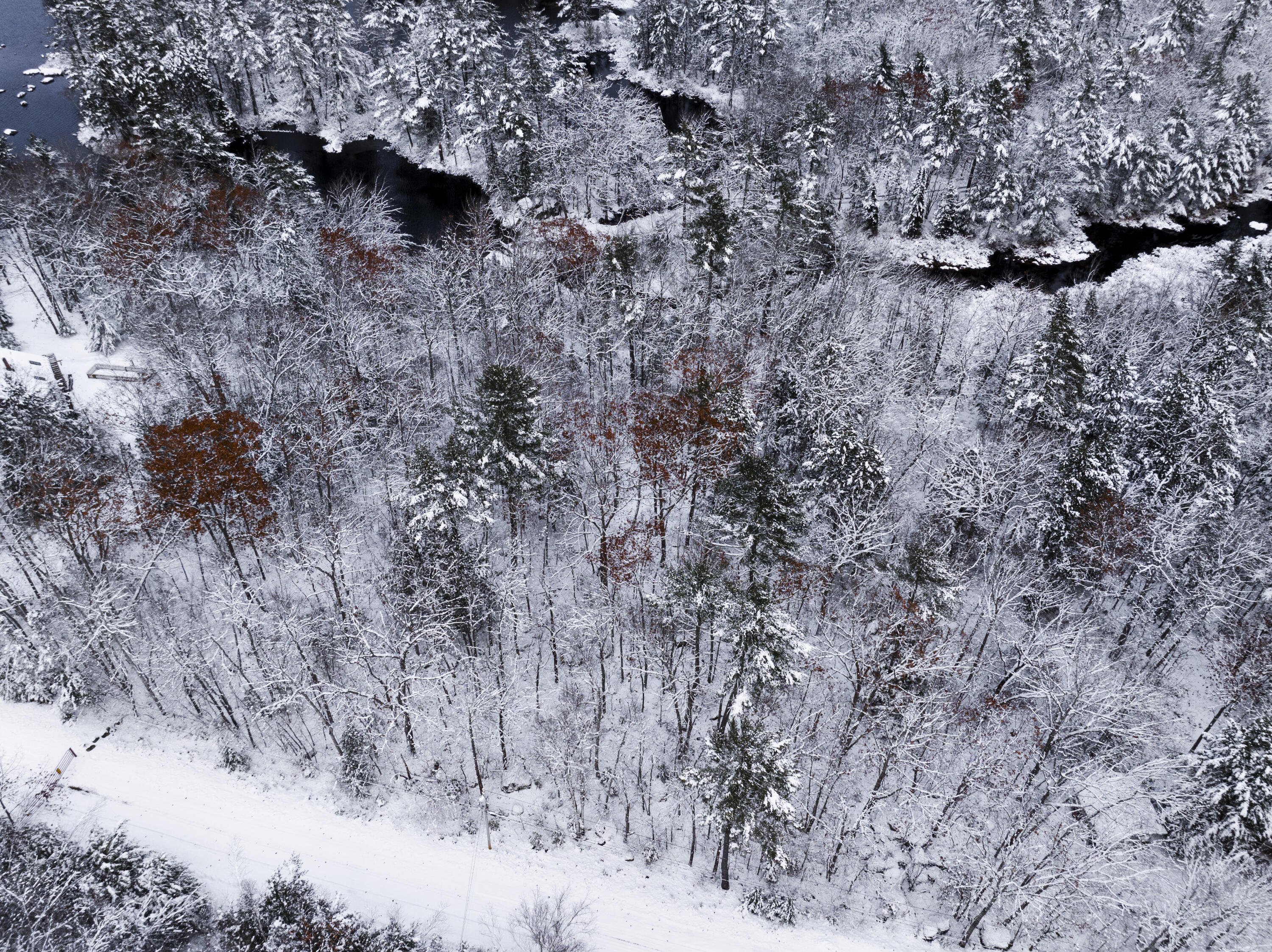 M035L11-14 Ring Bolt Lane Surry ME 04684