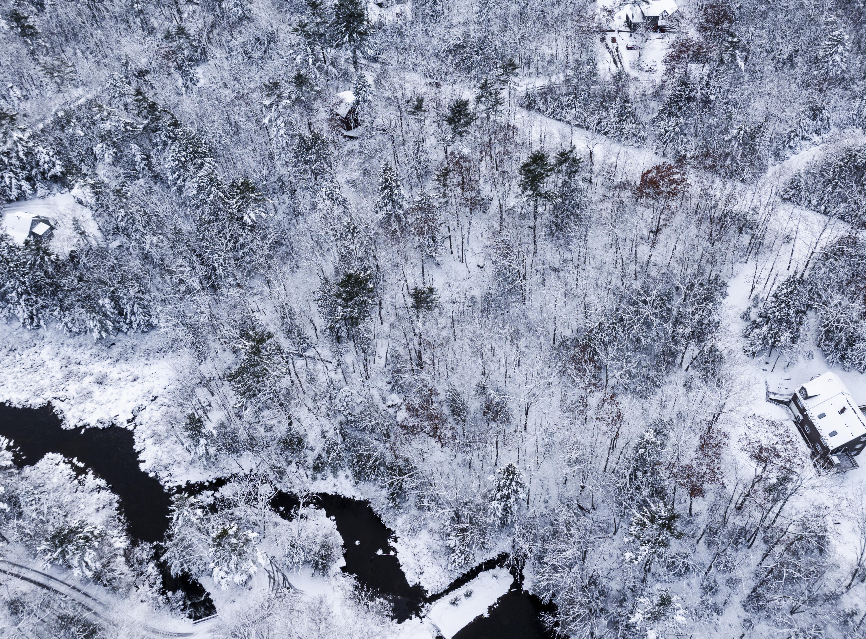 M035L11-14 Ring Bolt Lane Surry ME 04684