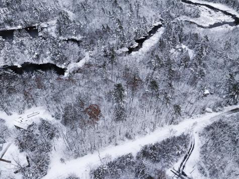 M035L11-14 Ring Bolt Lane Surry ME 04684