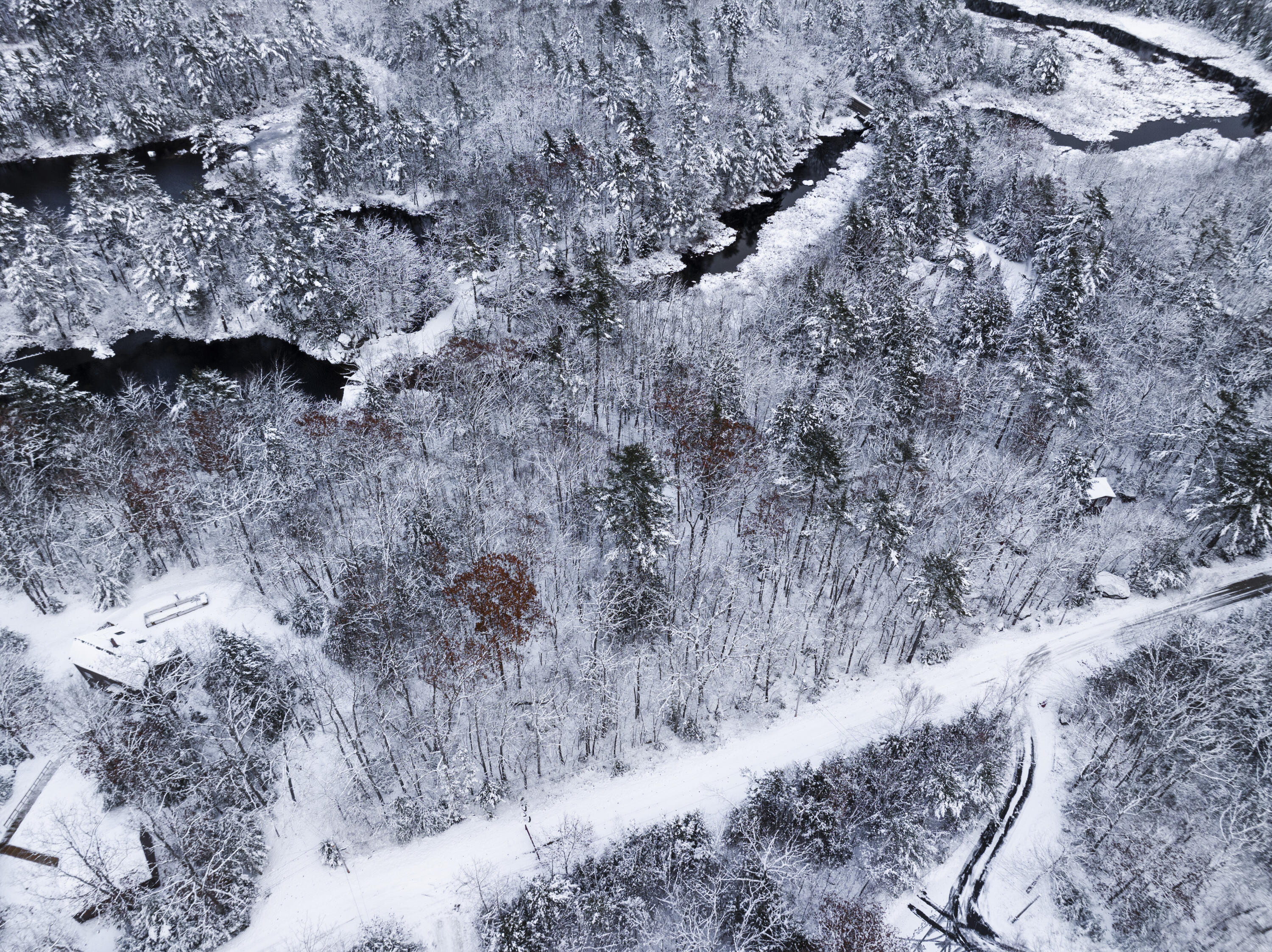 M035L11-14 Ring Bolt Lane Surry ME 04684