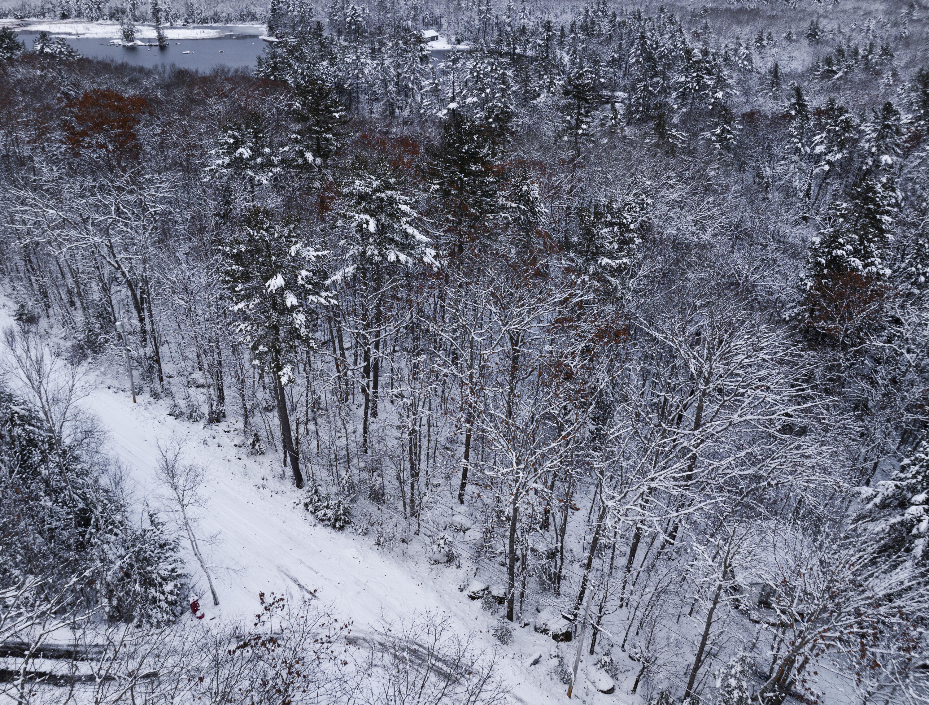 M035L11-14 Ring Bolt Lane Surry ME 04684