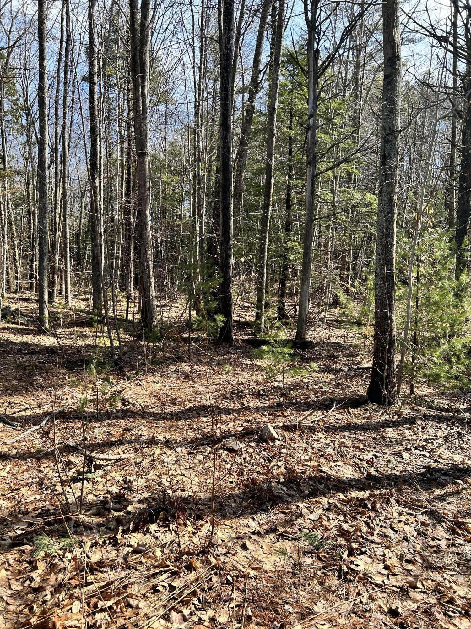 9 Lucas Farm Road York ME 03909