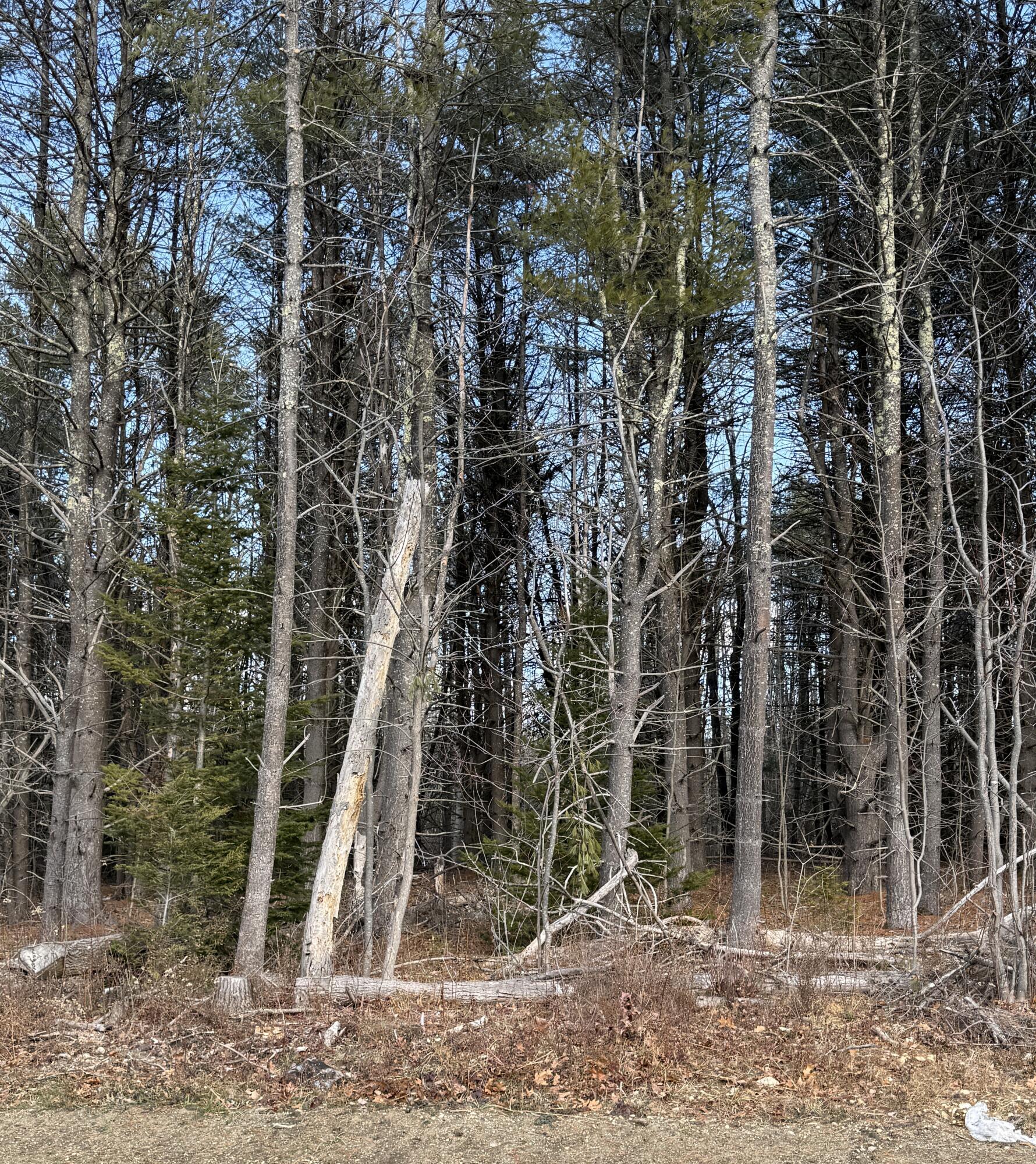 224-3-1 Maine 109 Acton ME 04001