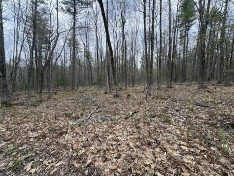 0 Rodrigue Lane Shapleigh ME 04076