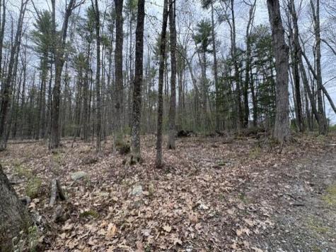 0 Rodrigue Lane Shapleigh ME 04076