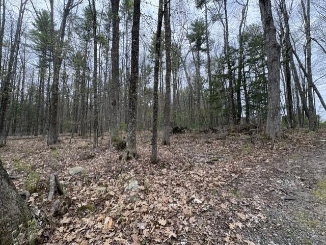 0 Rodrigue Lane Shapleigh ME 04076