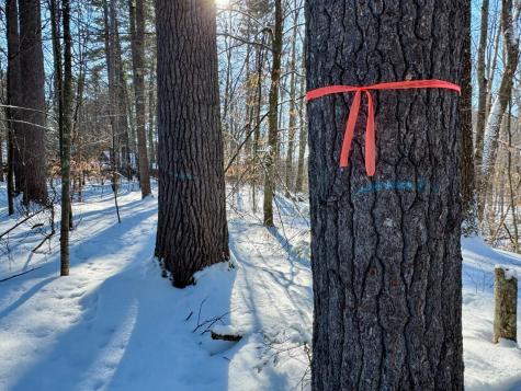 Tbd Swans Falls Road Fryeburg ME 04037