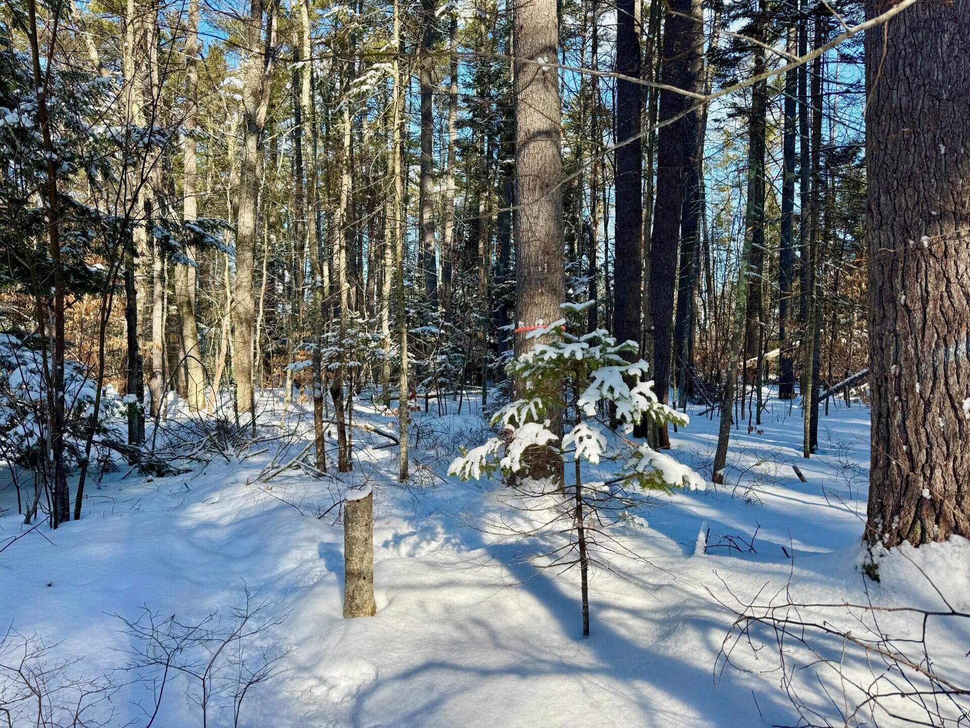 Tbd Swans Falls Road Fryeburg ME 04037