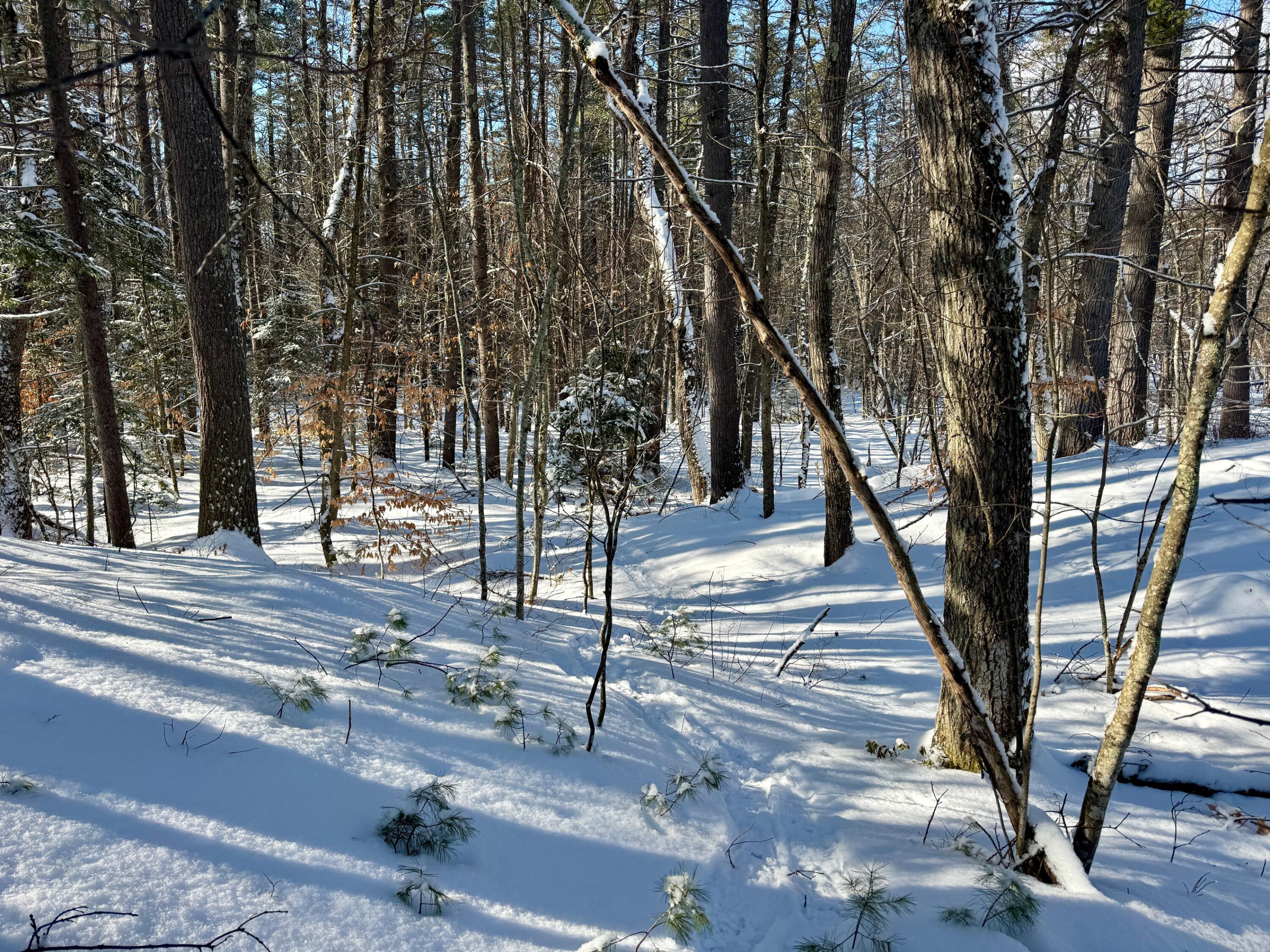 Tbd Swans Falls Road Fryeburg ME 04037