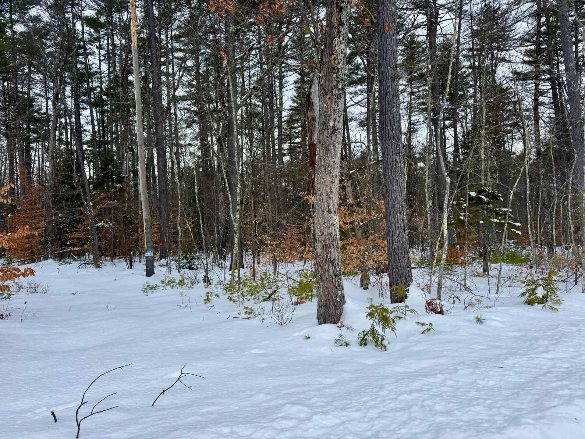 Tbd Swans Falls Road Fryeburg ME 04037