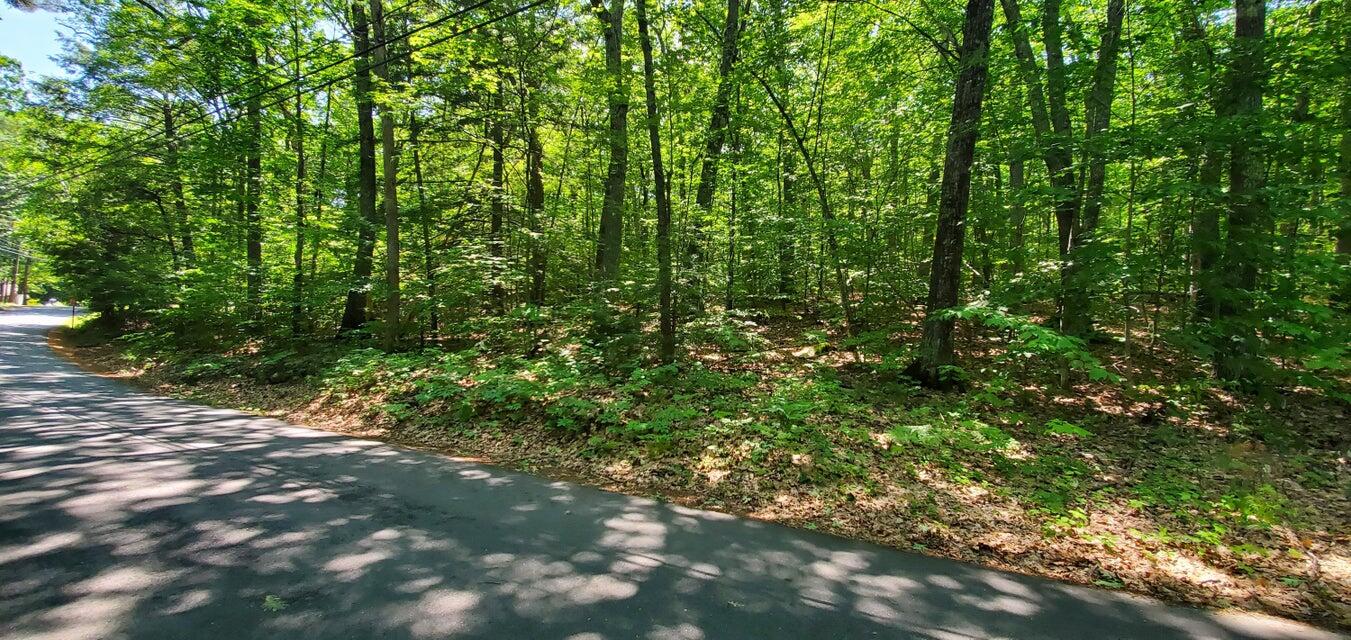 Lot #006 Trickey Pond Road Naples ME 04055