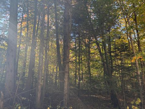 Lot 23/24 Coombs Road Newry ME 04261