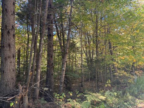 Lot 23/24 Coombs Road Newry ME 04261