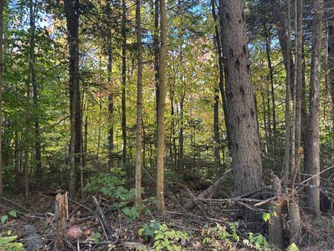 Lot 23/24 Coombs Road Newry ME 04261