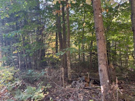 Lot 23/24 Coombs Road Newry ME 04261