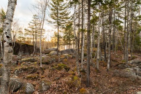 Lot #20 Sargent Drive Ellsworth ME 04605