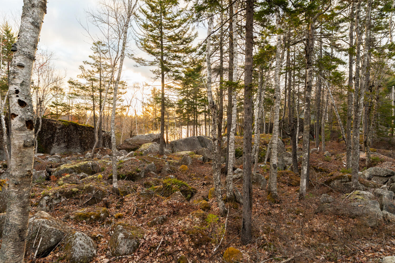 Lot #20 Sargent Drive Ellsworth ME 04605