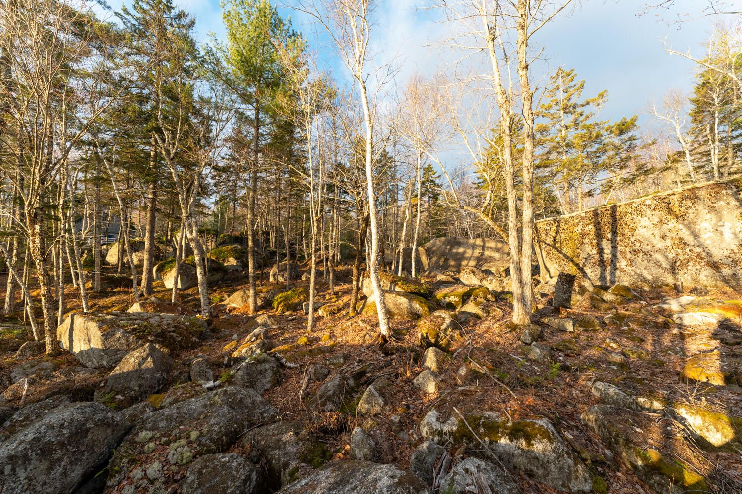 Lot #20 Sargent Drive Ellsworth ME 04605