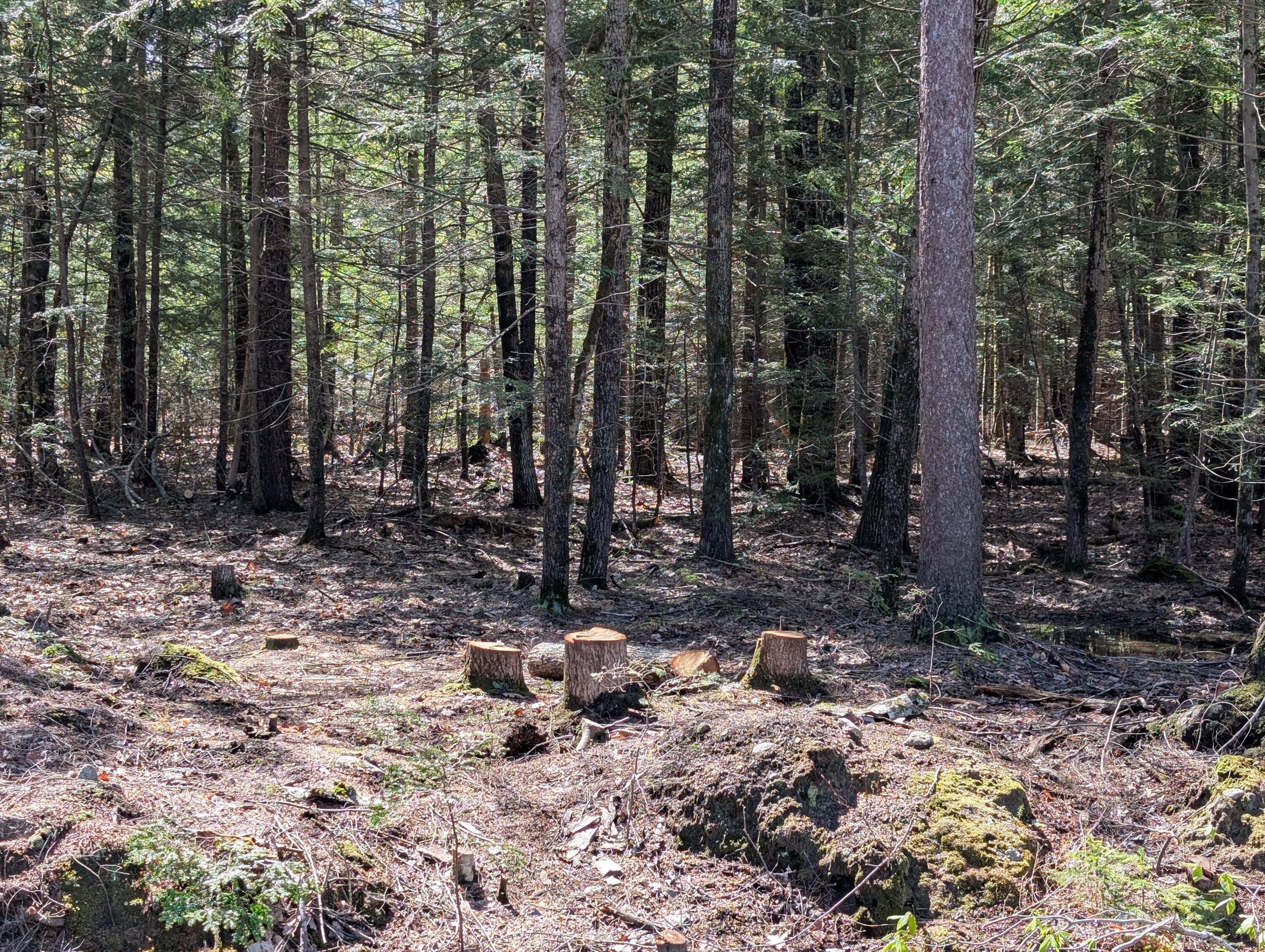 35 Mcallister Road Otisfield ME 04270