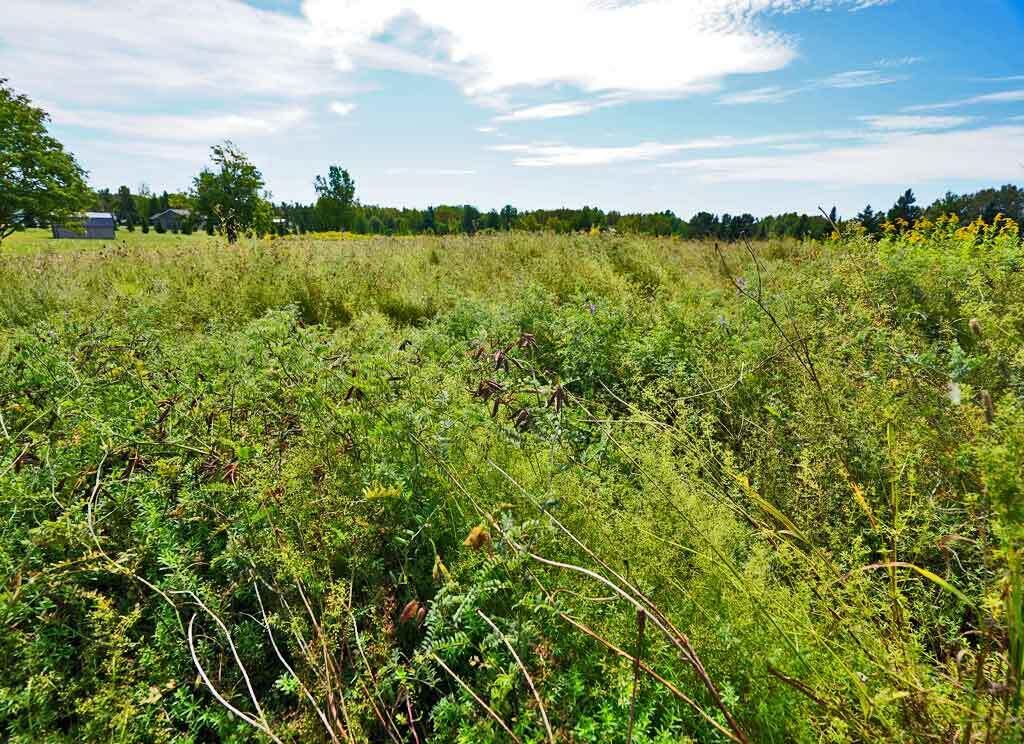 Lot 23 Smyrna Street Houlton ME 04730