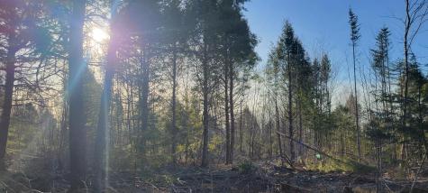 17-4 Sugar Hill Road Eastbrook ME 04634