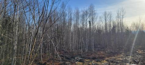 17-4 Sugar Hill Road Eastbrook ME 04634