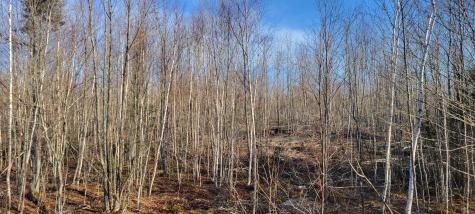 17-4 Sugar Hill Road Eastbrook ME 04634