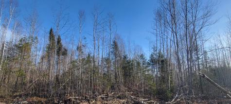 17-4 Sugar Hill Road Eastbrook ME 04634