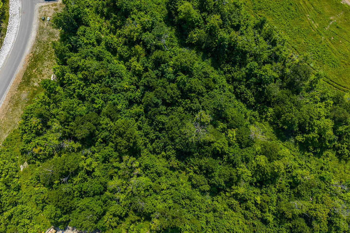 8114 Sawtooth Road Carrabassett Valley ME 04947